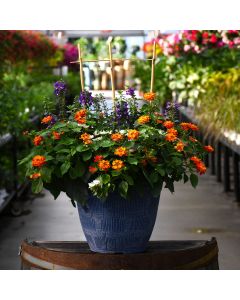 'Heat Lovin' Combo Patio Planter