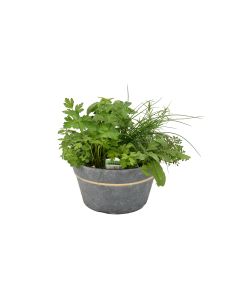 Herb Garden