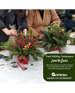 Create a Fresh Holiday Centerpiece | Saturday December 6th 11:00 am