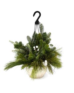 'Holiday' Hanging Spruce Tip Basket with White Accents