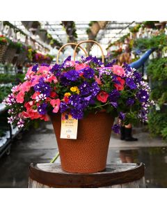 'Honey Bunny' Helix Combo Patio Tub