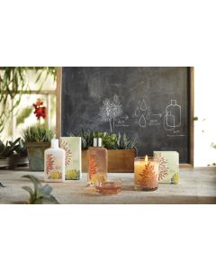 Thymes Agave Nectar Collection
