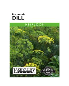Anethum, Dill, Mammoth Dill, 1g