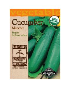 Cucumis, Cucumber Burpless 'Muncher' Organic Heirloom