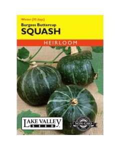 Cucurbita, Squash (Winter), Burgess Buttercup Squash, 4g