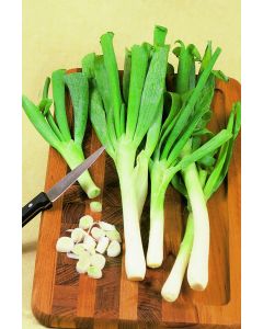 Allium, Leeks