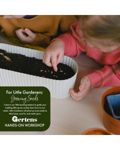 For Little Gardeners: Growing Seeds | Sunday March 22nd at 10am