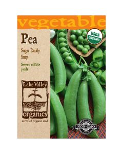 Pisum, Pea (Bush), Sugar Daddy Snap Pea, 20g
