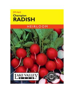 Raphanus, Radish, Champion Radish, 4g