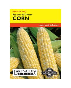 Zea, Sweet Corn, Peaches & Cream Hybrid, 10g