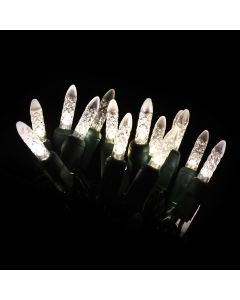 Gabriel Lights® LED M6 Facet Warm White Twinkle String Lights