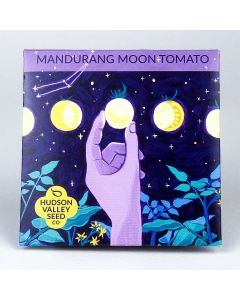 Solanum, Tomato (Pole), Mandurang Moon Tomato ~ 25 seeds