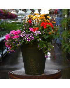 'Mini Awesome Combo' Patio Planter
