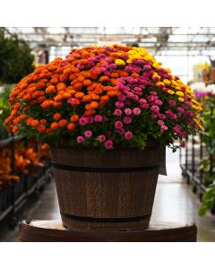 16"" Pot