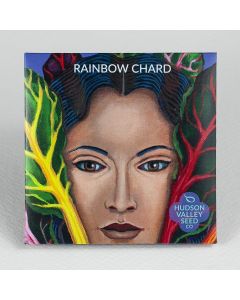 Beta, Chard, Rainbow Chard ~ 75 seeds