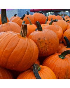 Pumpkins, Perfectly Priced