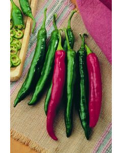 Capsicum, Mild Pepper 'Italian Roaster'