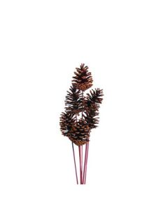 Medium Pine Cone Natural, 8 Stems