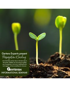 Propagation & Seeding | Sunday February 22nd at 1pm