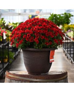 13" Pot
