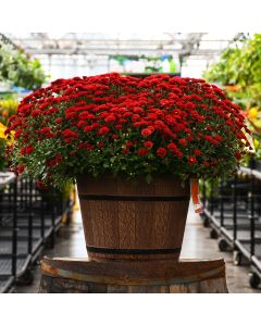 16"" Pot