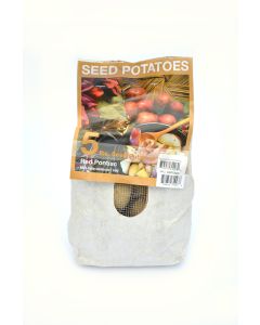Potato, Seed Potatoes, Red Pontiac
