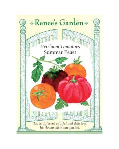 Solanum, Tomato (Pole) Mix, Heirloom Tomatoes, Summer Feast ~ 60 seeds