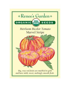 Solanum, Tomato (Pole), Heirloom Tomato, Marvel Stripe ~ 45 seeds