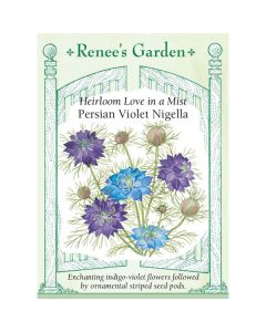 Nigella, Love in a Mist, Persian Violet ~ 245 seeds