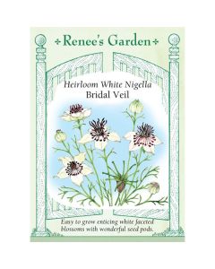 Nigella, Love in a Mist, White Bridal Veil ~ 175 seeds