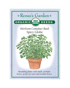 Ocimum, Basil, Spicy Globe ~ 400 seeds