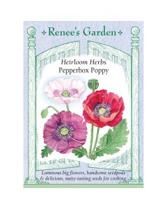 Papaver, Poppy Mix, Pepperbox ~ 1000 seeds