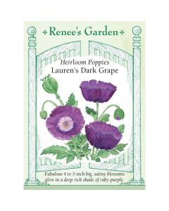 Papaver, Poppy, Lauren’s Dark Grape ~ 1900 seeds