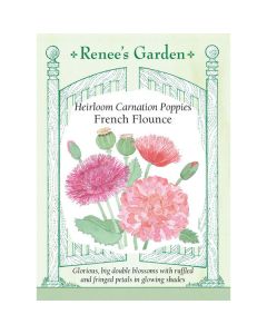 Papaver, Poppy, Shirley Poppies, French Flounce, ~ 700 seeds