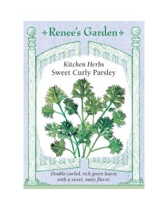 Petroselinum, Parsley, Sweet Curly Parsley ~ 600 seeds