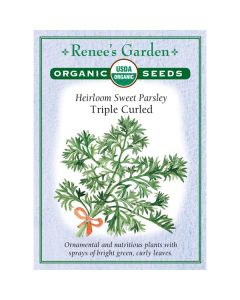 Petroselinum, Parsley, Triple Curled Sweet Parsley ~ 1185 seeds