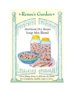 Phaseolus, Bean (Bush) Mix, Soup Mix Blend ~ 75 seeds