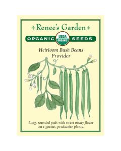 Phaseolus, Bean (Bush), Provider ~ 65 seeds