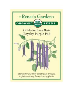 Phaseolus, Bean (Bush), Royalty Purple Pod ~ 75 seeds