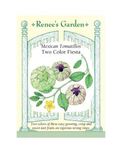 Physalis, Tomatillo, Two Color Fiesta ~ 135 seeds
