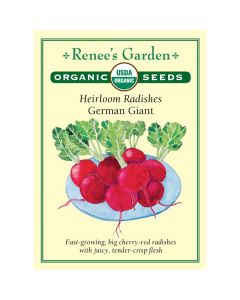 Raphanus, Radish, German Giant ~ 410 seeds