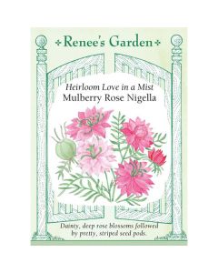 Nigella, Love in a Mist, Mulberry Rose Nigella, ~ 275 seeds
