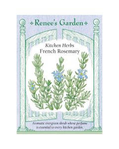 Rosmarinus, French Rosemary ~ 150 seeds