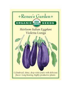 Solanum, Italian Eggplant, Violetta Lunga ~ 50 seeds