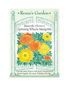 Tagetes, Marigold, Spinning Wheels ~ 150 seeds