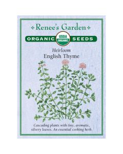 Thymus, English Thyme ~ 1110 seeds