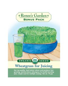 Triticum, Wheatgrass for Juicing, Bonus Pack ~ 1820 seeds