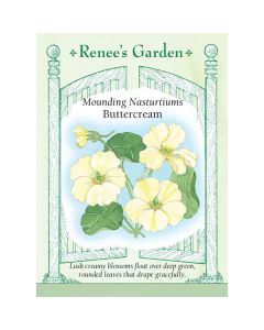 Tropaeolum, Mounding Nasturtium, Buttercream ~ 40 seeds