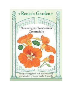 Tropaeolum, Mounding Nasturtium, Creamsicle ~ 30 seeds