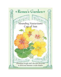 Tropaeolum, Mounding Nasturtium, Cup of Sun ~ 30 seeds
